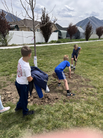 students planting trees for arbor day
