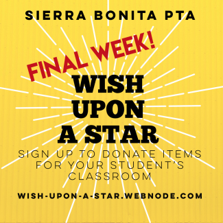 Wish Upon A Star - FINAL WEEK!