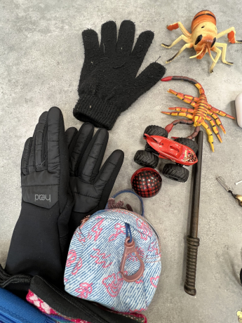 gloves, toy truck and purses in the lost and found