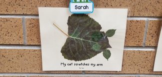 Leaf art of a Cat