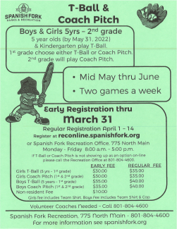 T-Ball and Coach Pitch Flier