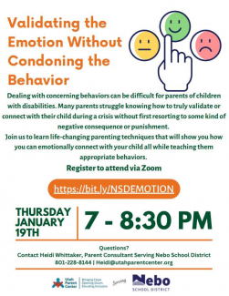 flier for parenting techniques for children with disabilities 